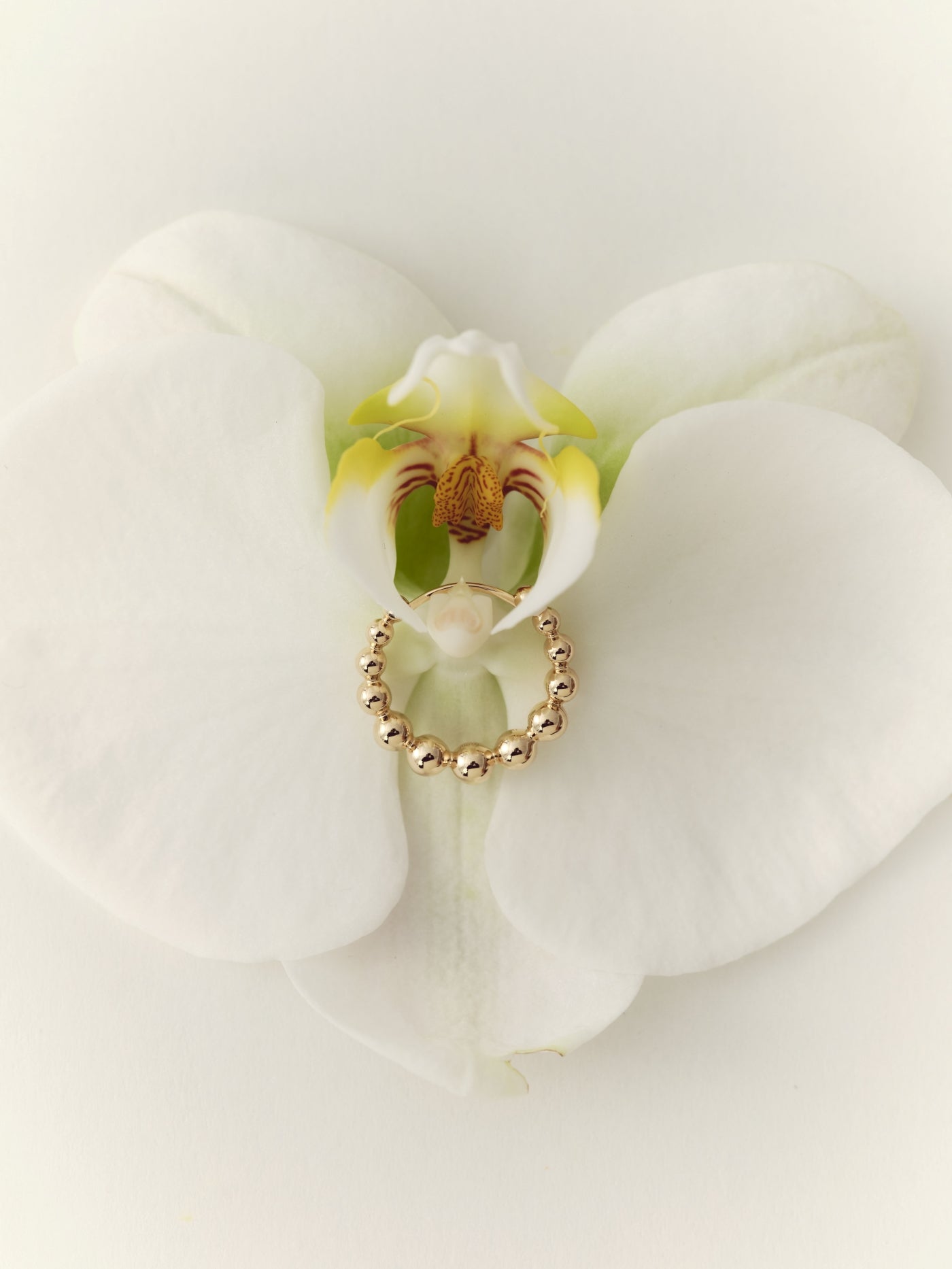 18K Gold Solid Bead Stud Earrings (Dispatched within 30 days of purchase)